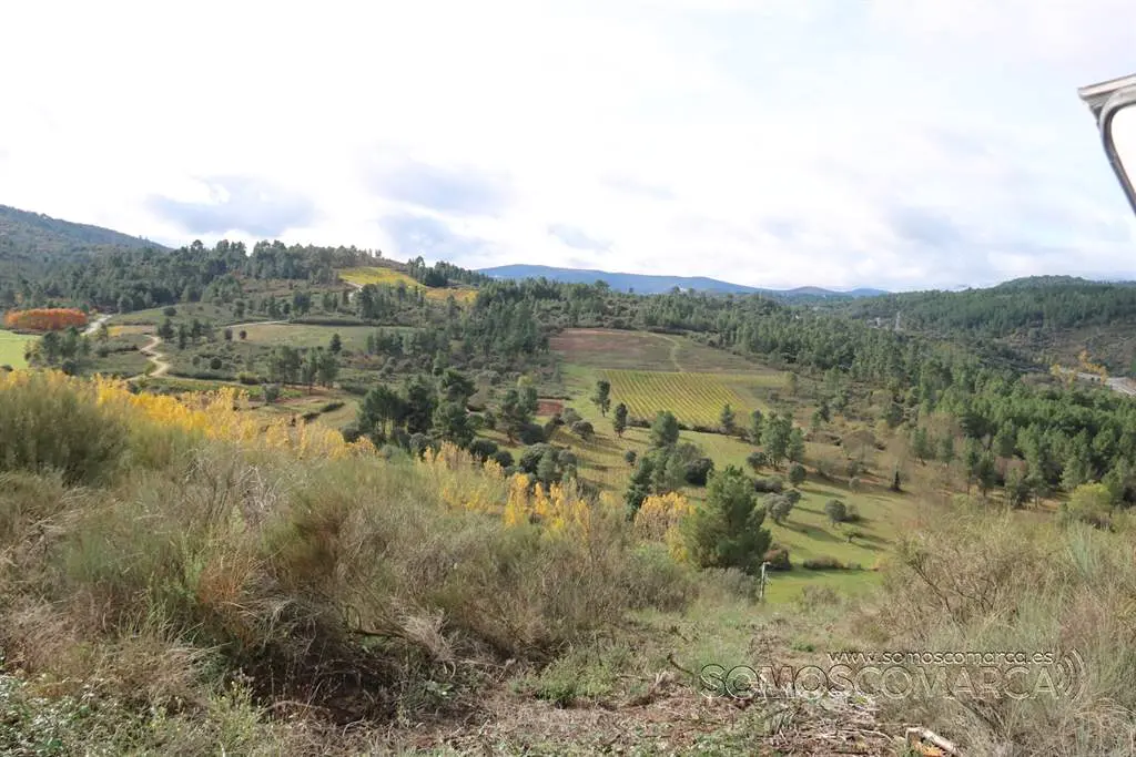 somoscomarca_petin_caminoalternativo_caminodeinvierno_ruta_2021 (9)