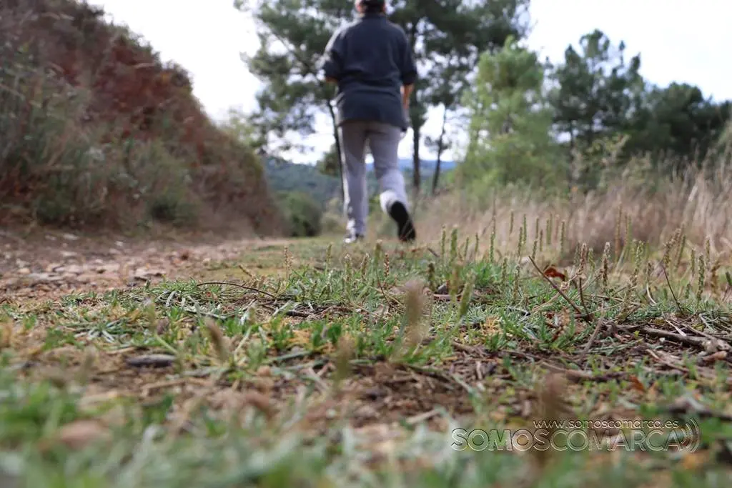 somoscomarca_petin_caminoalternativo_caminodeinvierno_ruta_2021 (11)