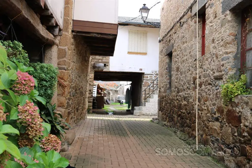 somoscomarca_petin_caminoalternativo_caminodeinvierno_ruta_2021 (21)