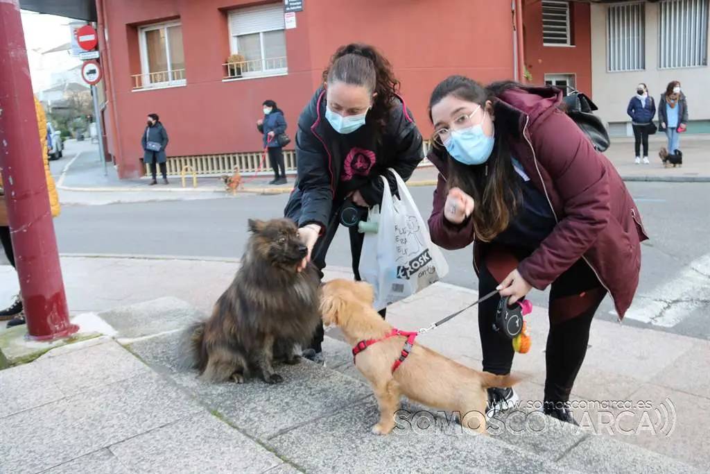Bendición animales en O Barco el día de San Antonio 2022 (5)