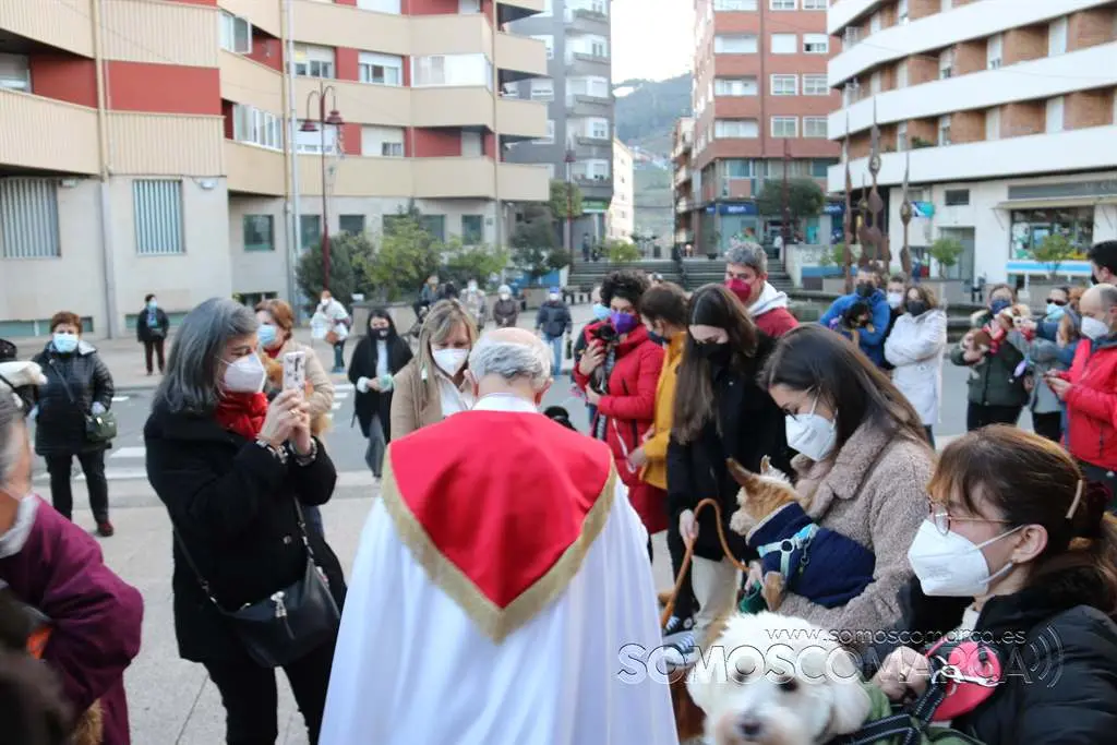 Bendición animales en O Barco el día de San Antonio 2022 (11)