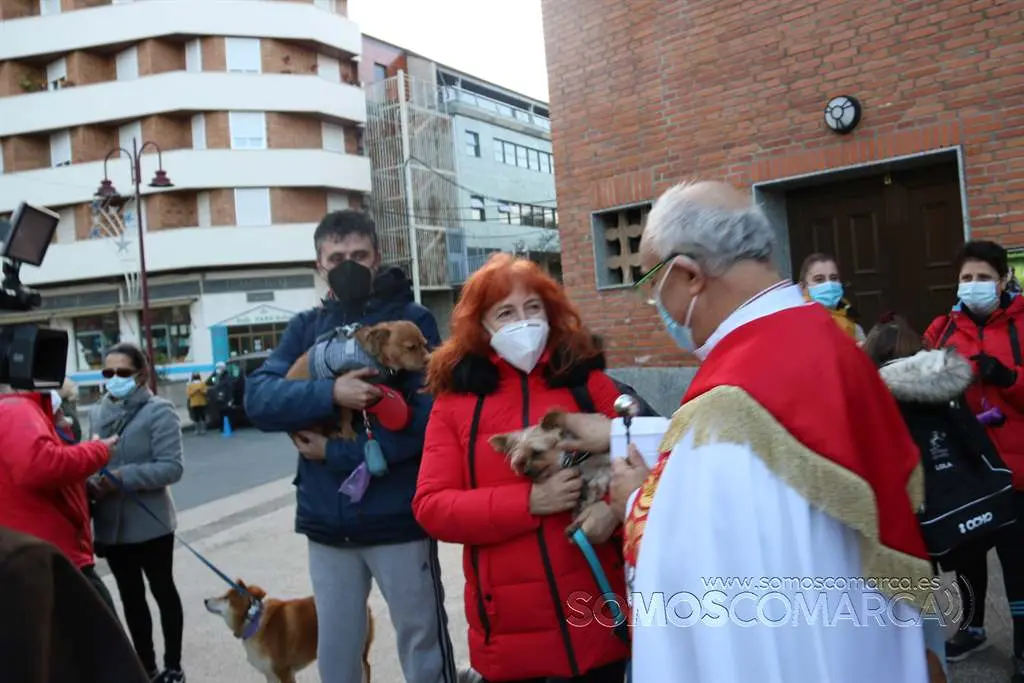 Bendición animales en O Barco el día de San Antonio 2022 (13)