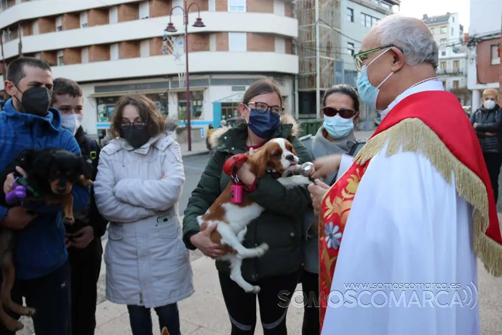 Bendición animales en O Barco el día de San Antonio 2022 (15)