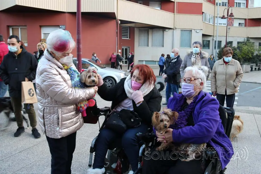 Bendición animales en O Barco el día de San Antonio 2022 (32)