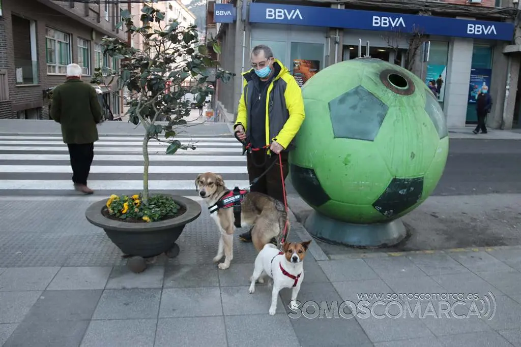 Bendición animales en O Barco el día de San Antonio 2022 (34)