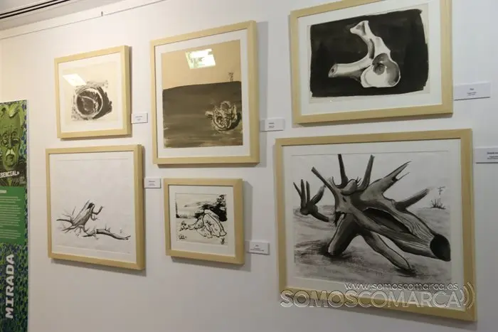 somoscomarca_obarco_exposicion_jesusdiazferrer_2022 (26)