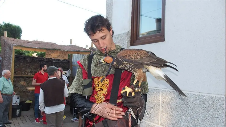 Alc&oacute;n feria 1812. Pet&iacute;n