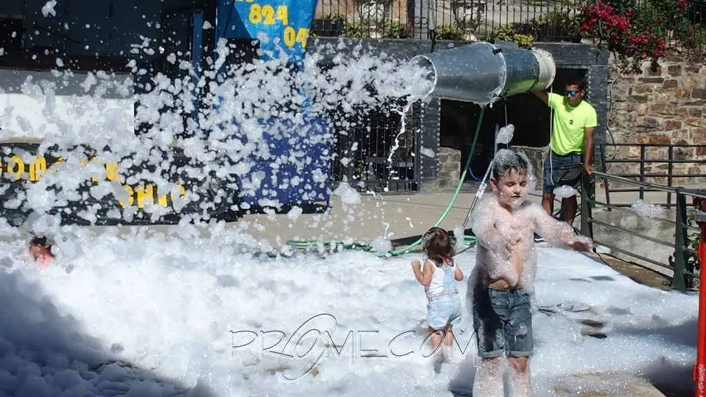 Imáxen da Festa de San Antonio en Sobradelo