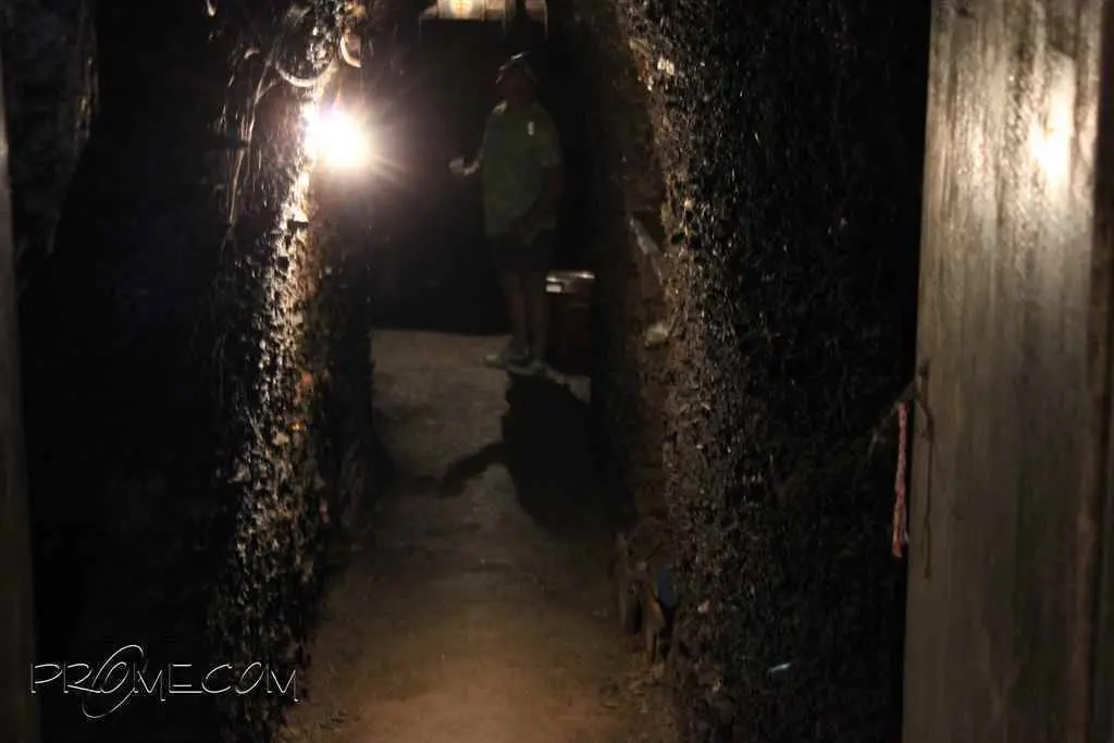 pregon festa covas vilamartin