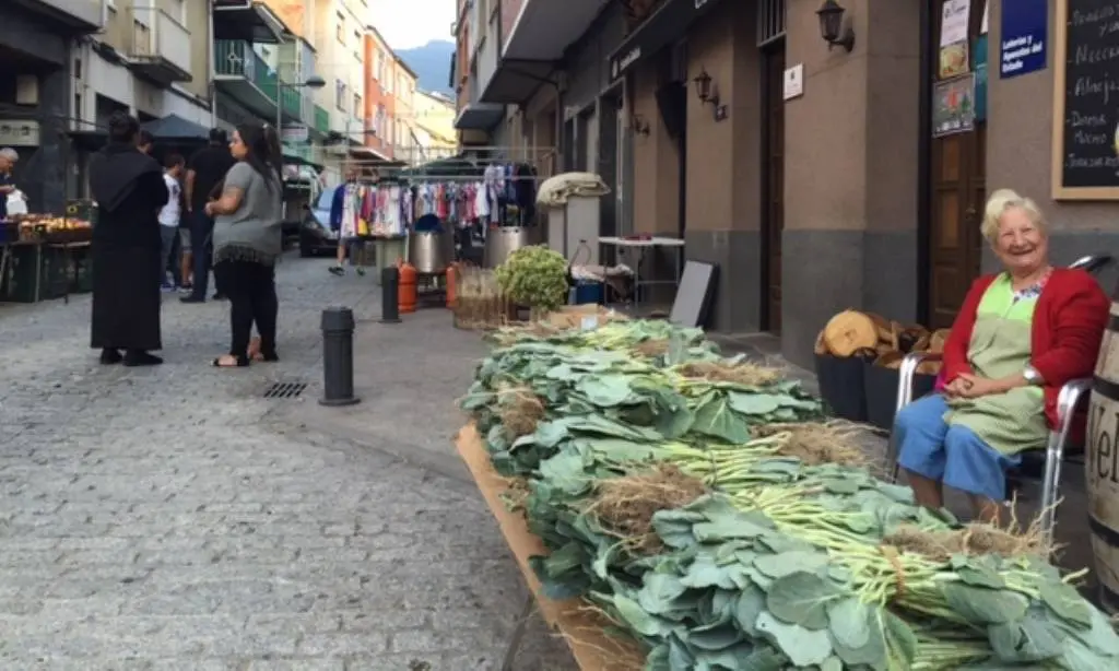 somoscomarca_arua_feira_jovita_repollos