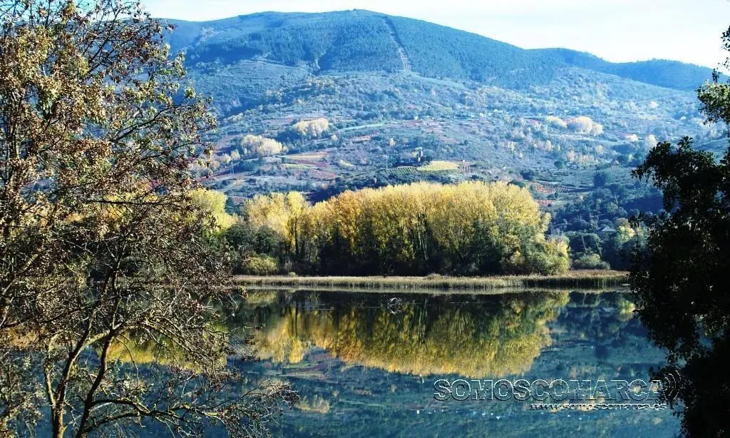 Colores de otoño en el embalse de San Martiño en Petín 2016