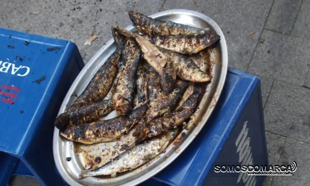 sardinas