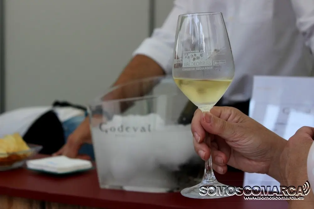 somoscomarca_obarco_godello_godeval_feiradoviño_2018_godello_copagodello