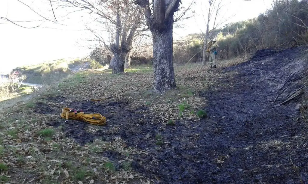 Brigada Medio Rural incendio