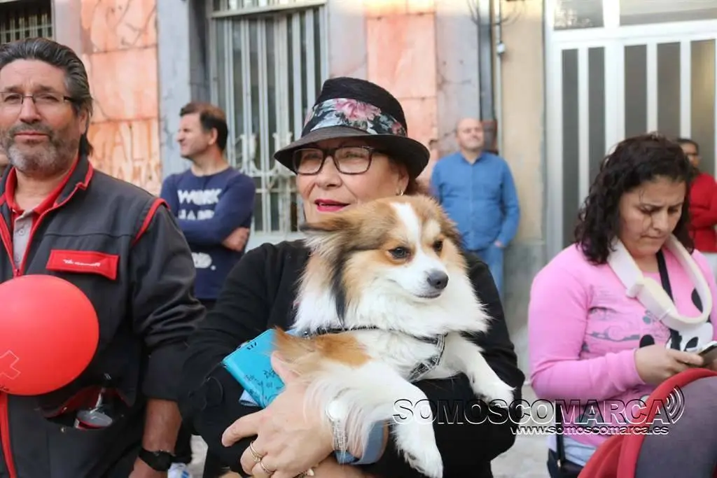 somoscomarca_perro_señoraconperroenbrazos