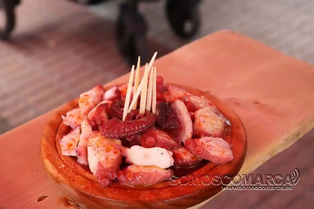 Pulpo_somoscomarca_quiroga_festasdeveran_mostradomel_2019_08_09-39