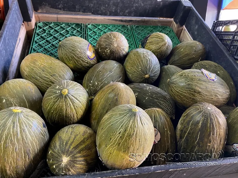 melones