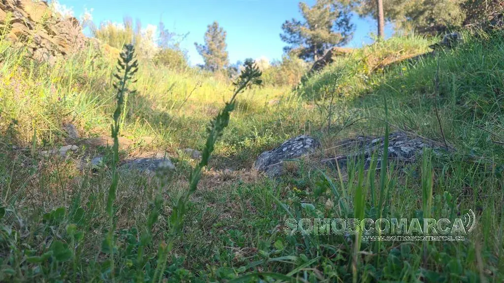 Vía Nova a su paso por Larouco