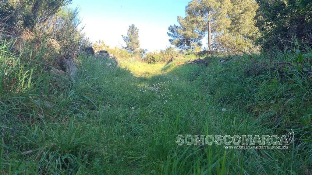 Vía Nova a su paso por Larouco