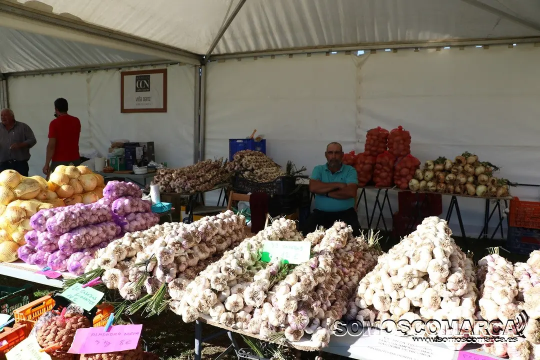 somoscomarca_aveiga_feira_gando_2021_10_09 (6)