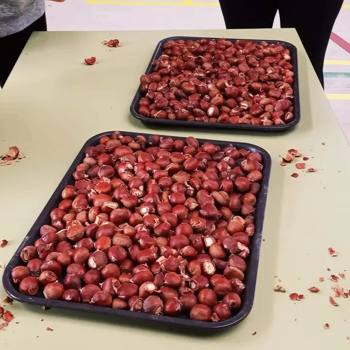 somoscomarca_trives_xermanancochea_samain_2021 (8)