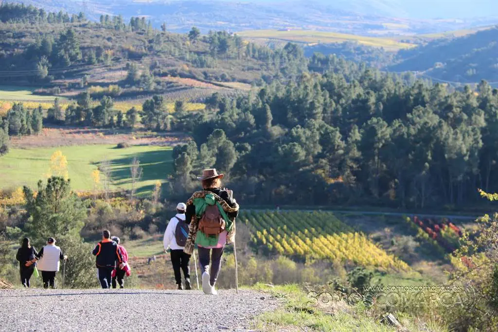 portada_somoscomarca_petin_larouco_andaina_camiñoaugassacras_vianova_2021 (21)