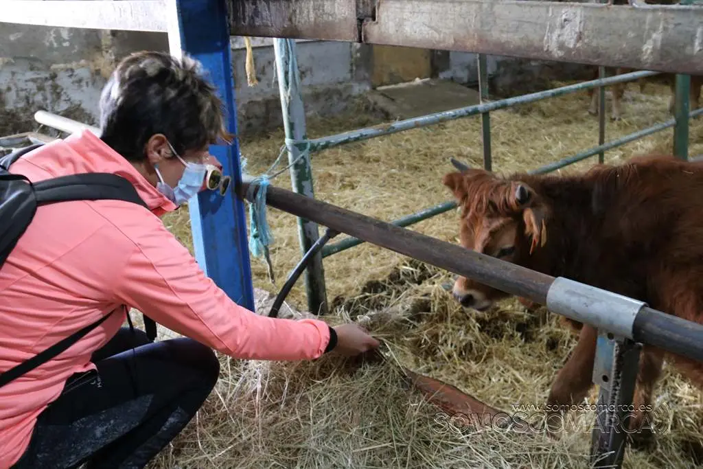 somoscomarca_petin_larouco_andaina_camiñoaugassacras_vianova_2021 (12)