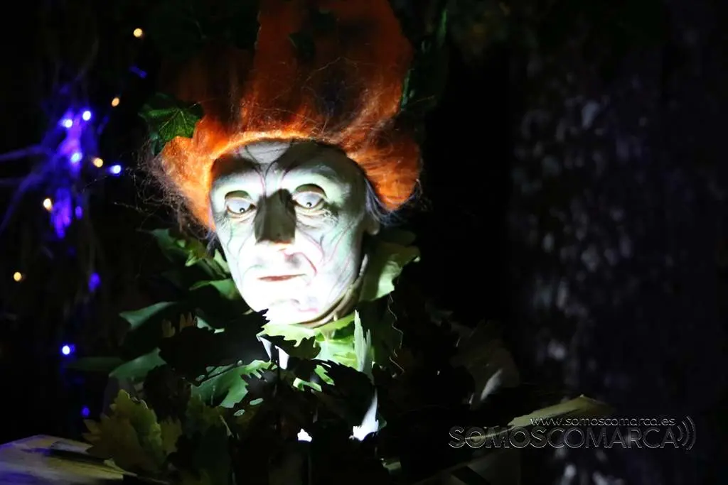 somoscomarca_petin_samain_seresmagicos_xana_2021 (29)