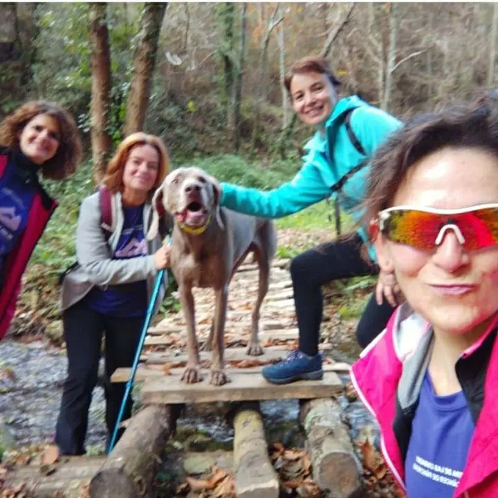 somoscomarca_carreradelasciudades_vilamartin_cancer_pancreas_2021 (2)