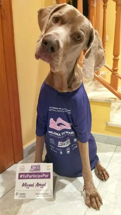 somoscomarca_carreradelasciudades_vilamartin_cancer_pancreas_2021 (3)