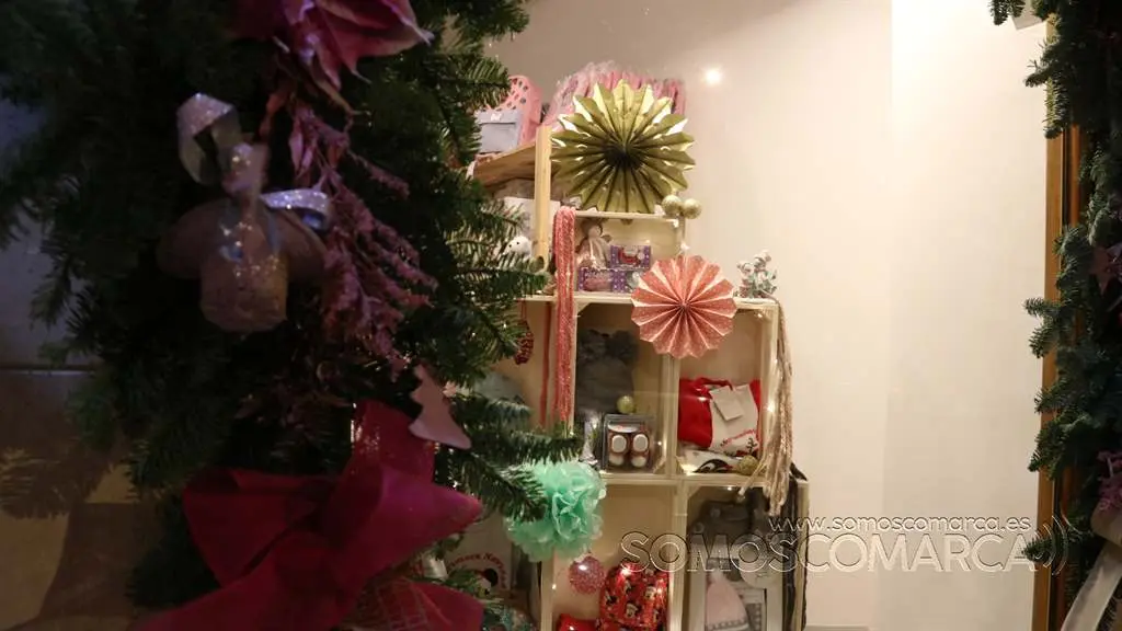 O Bambán dos Sorrisos en Navidad (6)