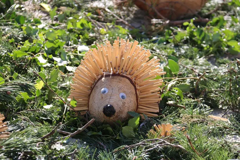 Nadal enxebre da Veiga (51)