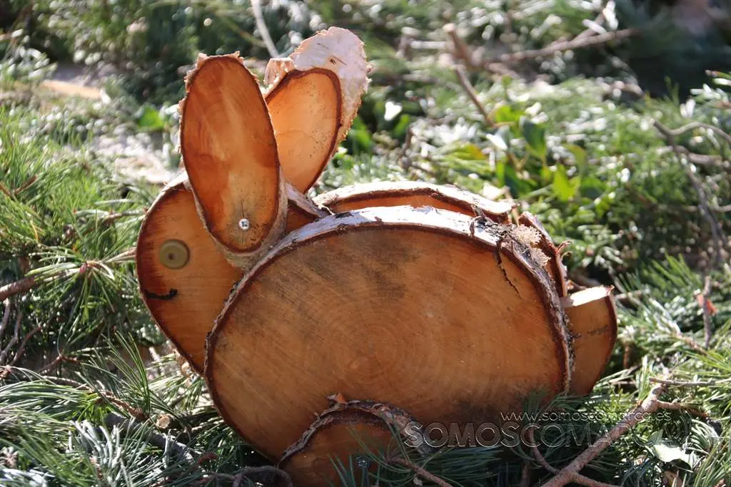 Nadal enxebre da Veiga (52)