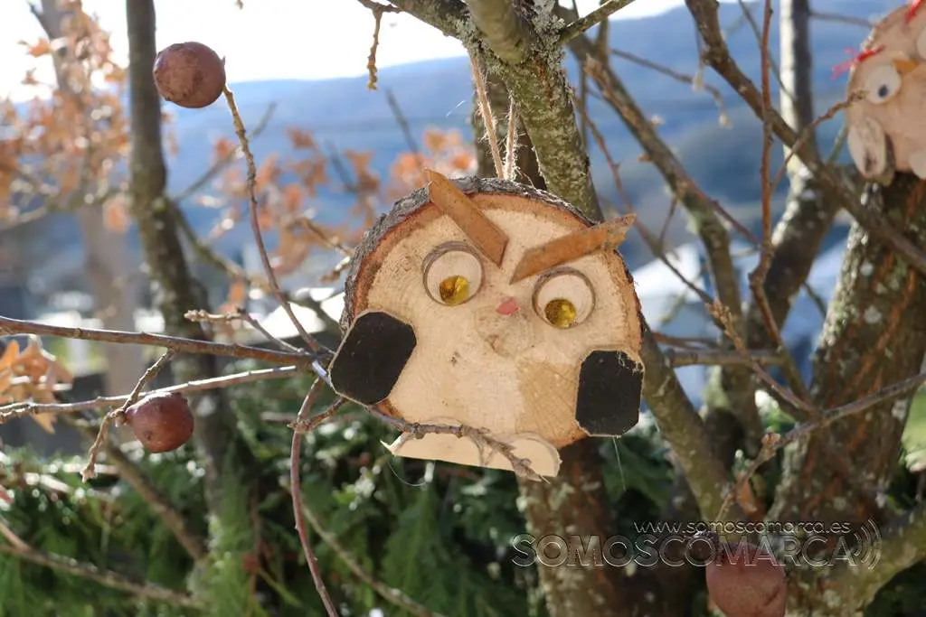 Nadal enxebre da Veiga (76)