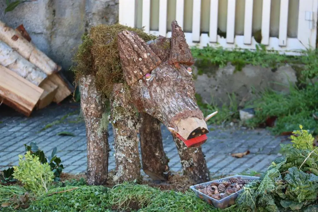 Nadal enxebre da Veiga (99)