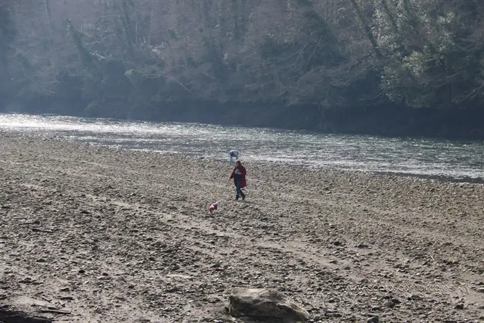 somoscomarca_vilamartin_peces_cangrejos_valenciadosil_embalse_2022-02-23 (1)