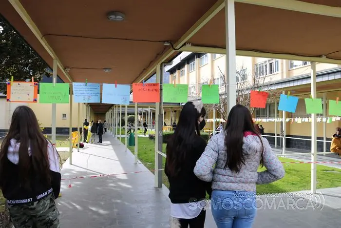 Día de Rosalía no IES Lauro Olmo (1)