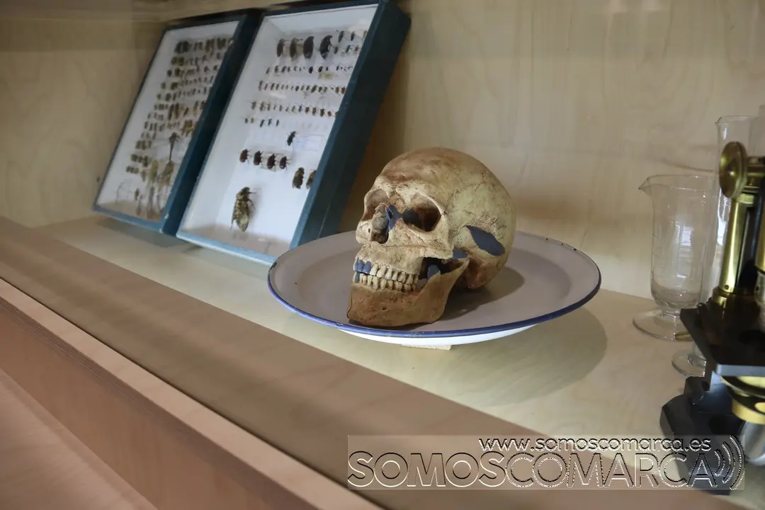 somoscomarca_munic_museo_Carracedelo_exposicion_2022-03-17 (15)