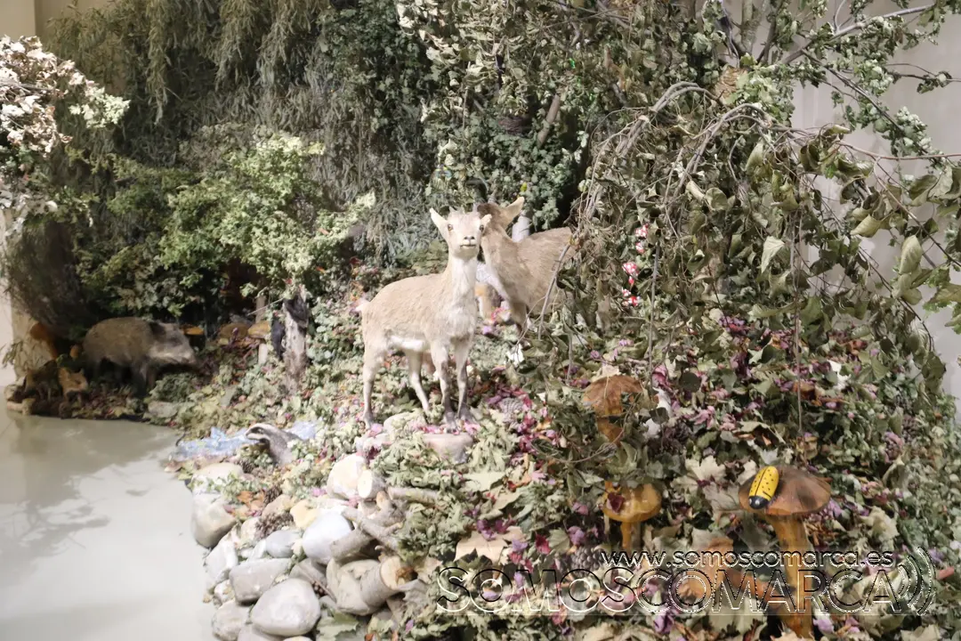 somoscomarca_munic_museo_Carracedelo_exposicion_2022-03-17 (20)