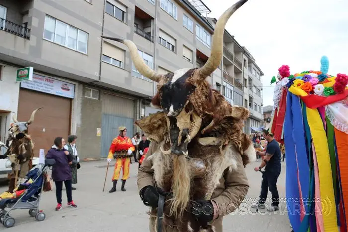 Mascarada Ibérica 2022, Viana (146)