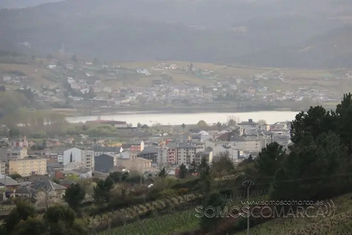 somos comarca_sanjulian_animales_manolo_cabras_vacas_terneros_ovejas_gatos_gallos_perros_2022 (3)