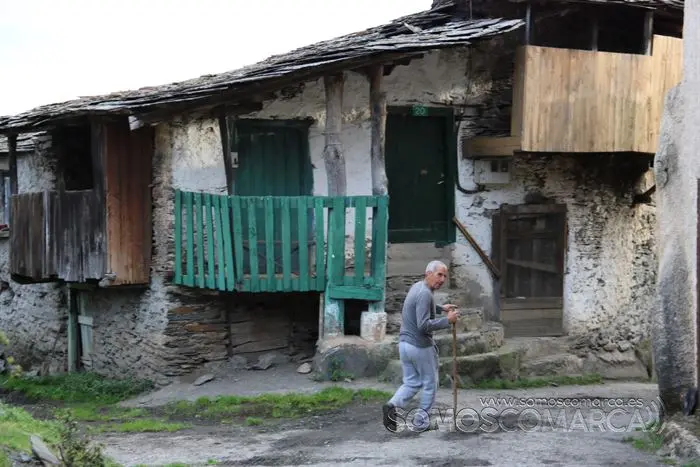 somos comarca_sanjulian_animales_manolo_cabras_vacas_terneros_ovejas_gatos_gallos_perros_2022 (10)