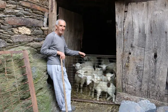 somos comarca_sanjulian_animales_manolo_cabras_vacas_terneros_ovejas_gatos_gallos_perros_2022 (11)