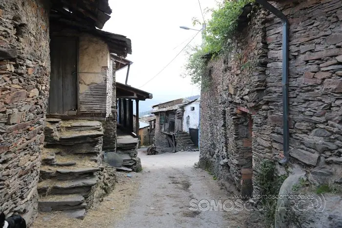 somos comarca_sanjulian_animales_manolo_cabras_vacas_terneros_ovejas_gatos_gallos_perros_2022 (25)