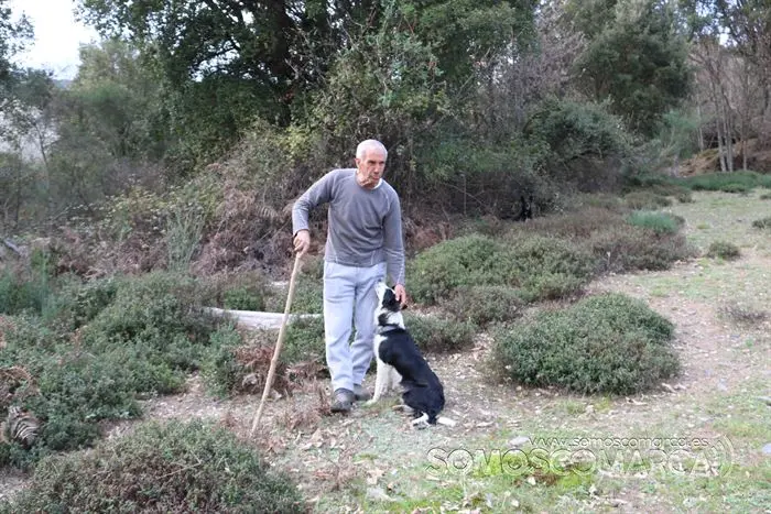 somos comarca_sanjulian_animales_manolo_cabras_vacas_terneros_ovejas_gatos_gallos_perros_2022 (28)