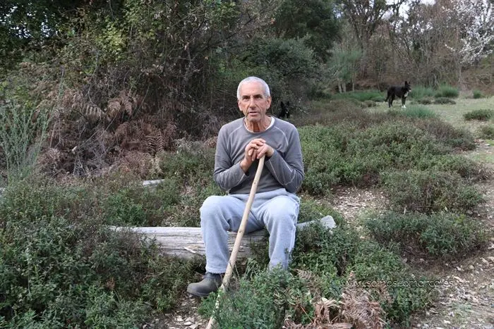 somos comarca_sanjulian_animales_manolo_cabras_vacas_terneros_ovejas_gatos_gallos_perros_2022 (1)