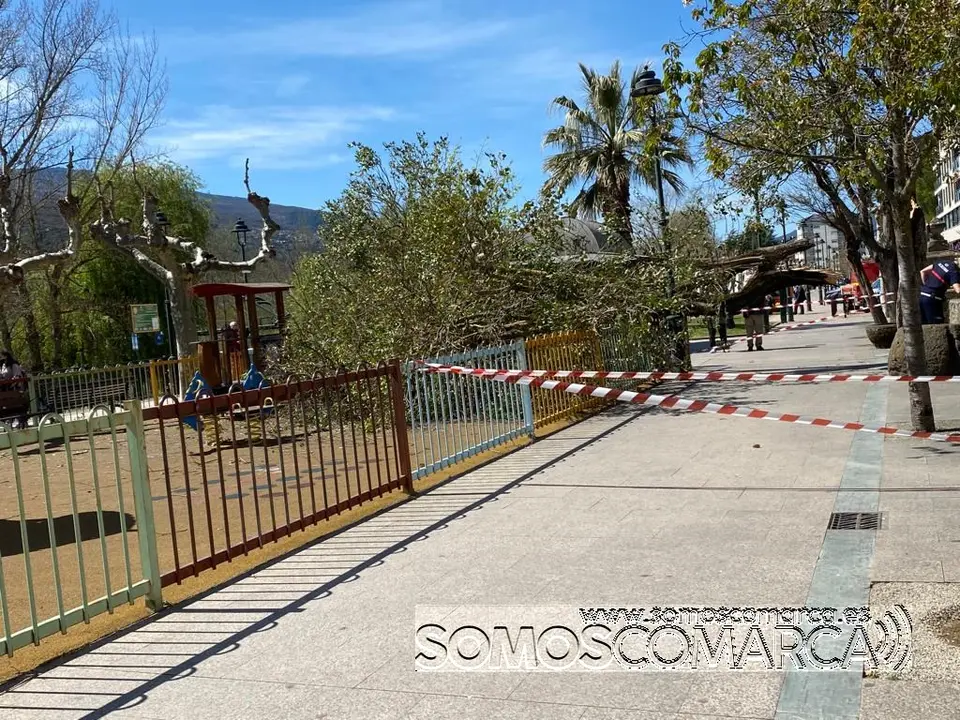 somoscomarca_arbol_parque_malecon_ges_policialocal_obarco_rotura_2022-04-05 (1)