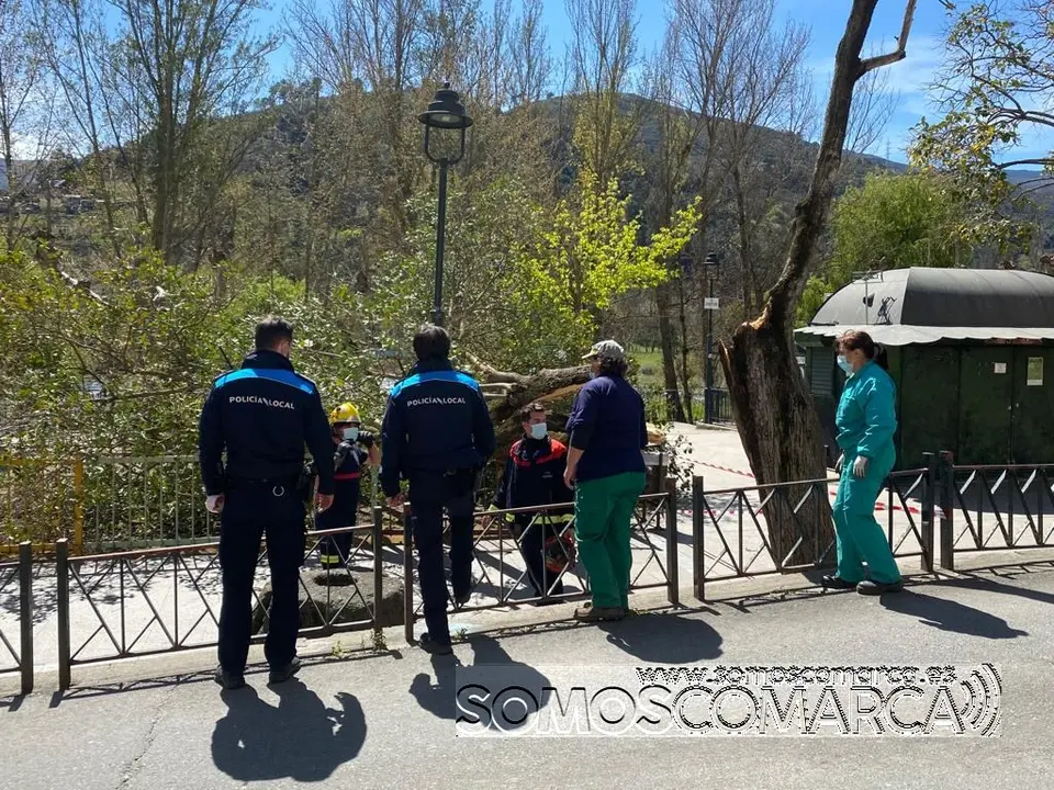 somoscomarca_arbol_parque_malecon_ges_policialocal_obarco_rotura_2022-04-05 (3)