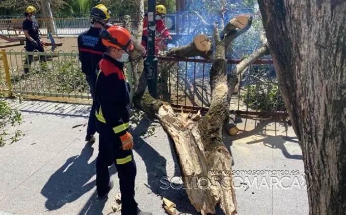 somoscomarca_obarco_suceso_caidaarbol_malecon_ges_bomberos (2)