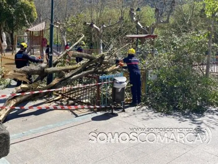 somoscomarca_obarco_suceso_caidaarbol_malecon_ges_bomberos (3)